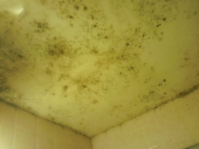 お風呂場のクリーニング